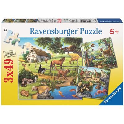 Spiel 4023.0
